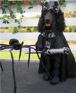 Doggy Darth Vader